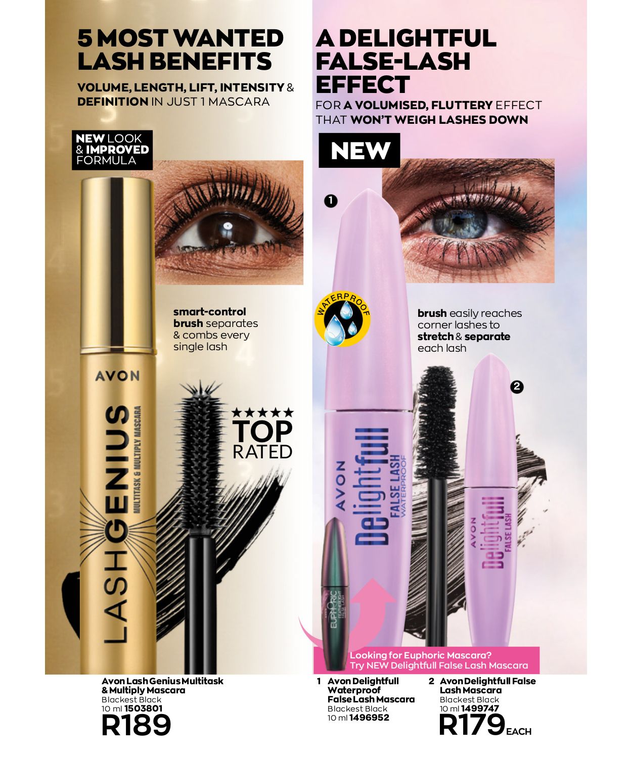 Special Avon 01.08.2023 - 31.08.2023