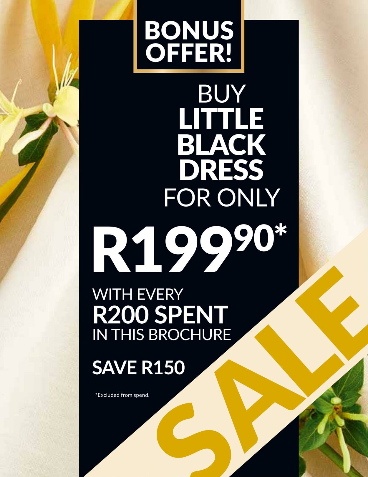 Special Avon 01.01.2026 - 31.01.2026