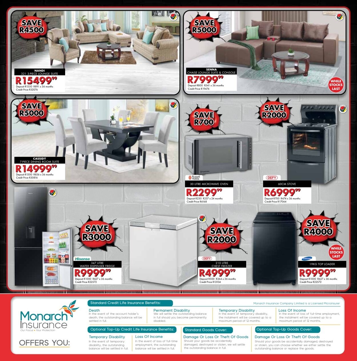 Special Beares 20.06.2025 - 30.06.2025