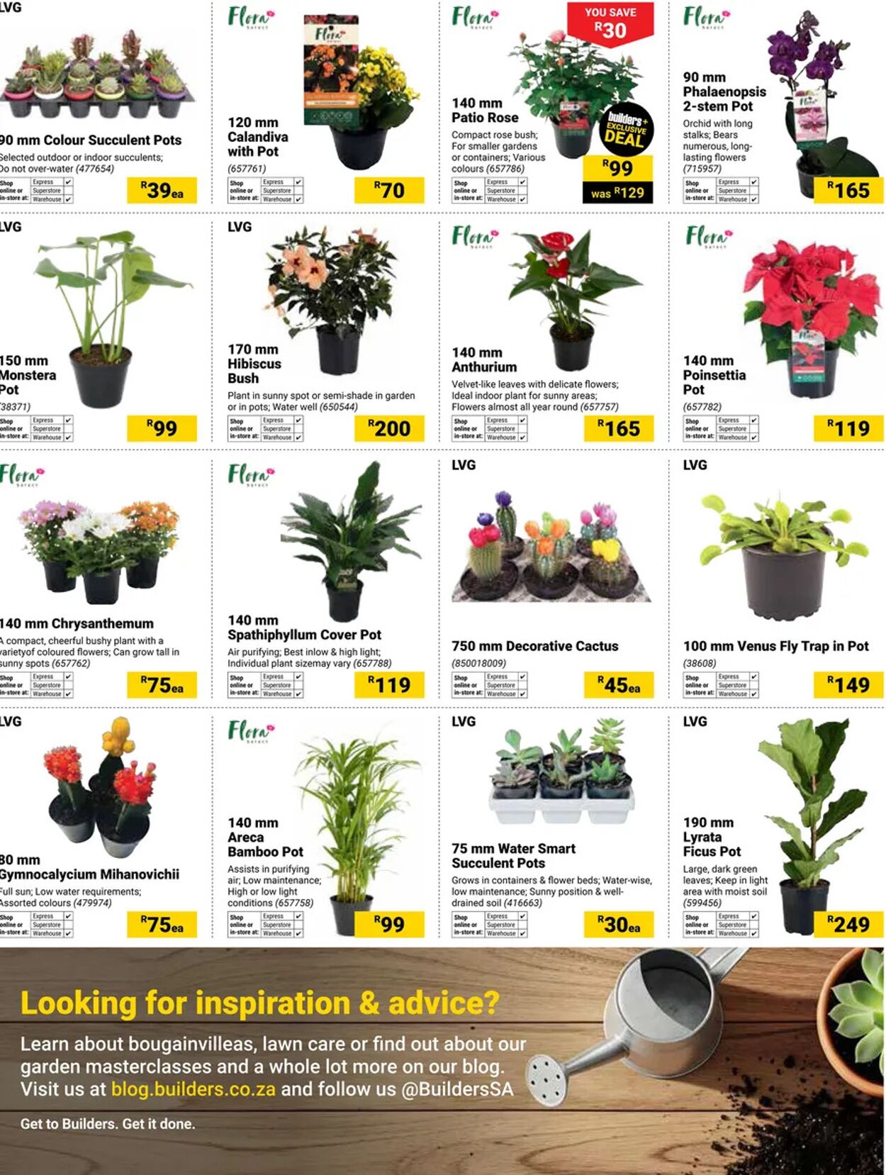 Special Builders Warehouse 02.12.2025 - 02.02.2026