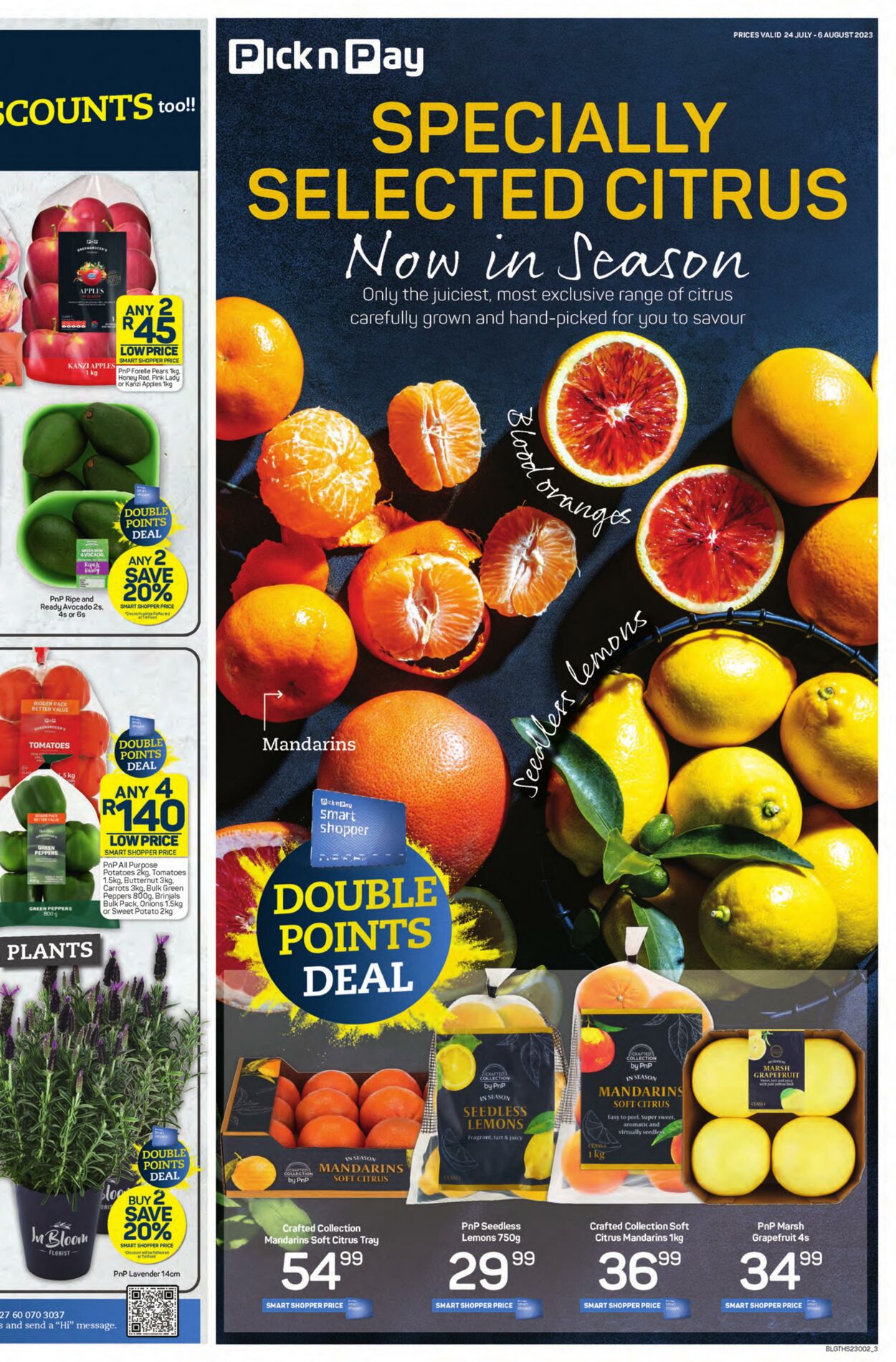 Special Pick n Pay 24.07.2023 - 06.08.2023