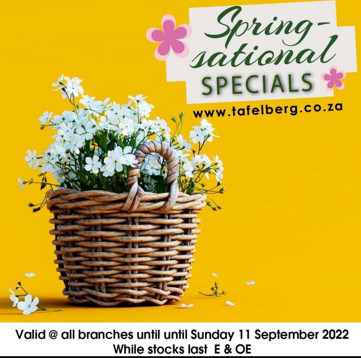 Special Tafelberg Furnishers 01.09.2022-11.09.2022